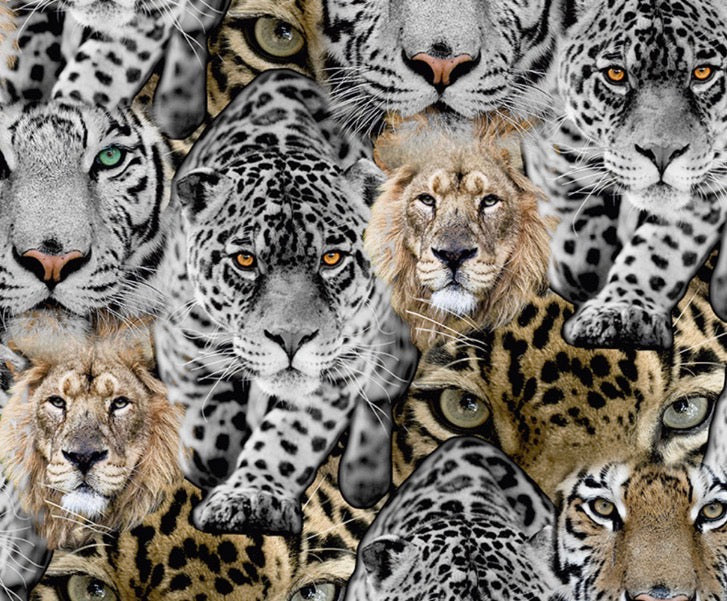 Feline Bomber